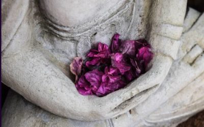 Meditazione seduta, zazen: una breve introduzione