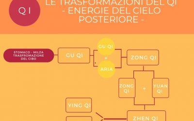 Il Qi nella medicina cinese. Le trasformazioni della vita