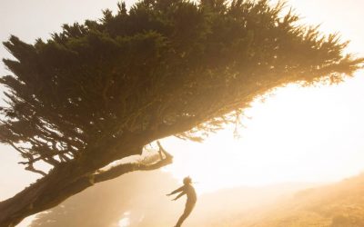 Gestire le emozioni attraverso il corpo